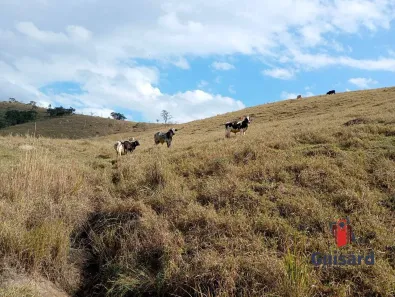 Lote/Terreno à venda, 17m² no Área Rural de Lagoinha, Lagoinha