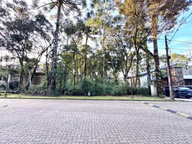 Lote/Terreno à venda, 305m² no Dante, Canela