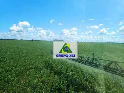 Fazenda/Sítio à venda, 6727600m² no , Luciára
