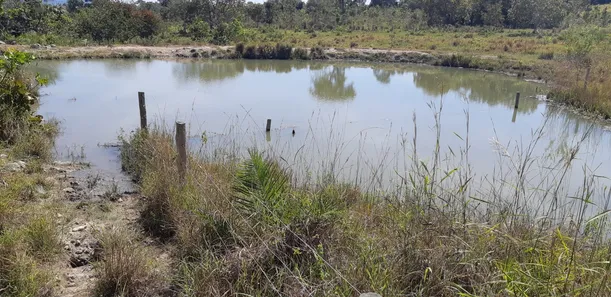 Fazenda/Sítio com 4 Quartos à venda, 49m² no , Crixás