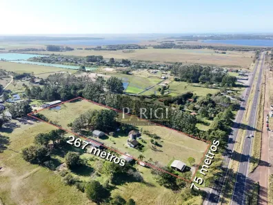 Fazenda/Sítio com 3 Quartos à venda, 234000m² no Vila Cledi, Gravataí