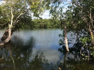 Fazenda/Sítio com 2 Quartos à venda, 420m² no Centro, Cocalinho