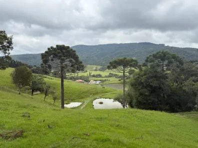 Fazenda/Sítio à venda, 331000m² no , Bom Retiro