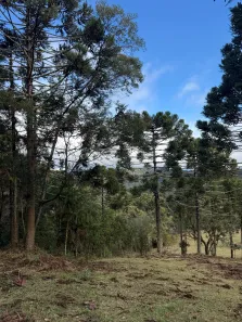 Lote/Terreno à venda, 20000m² no Águas Brancas, Urubici