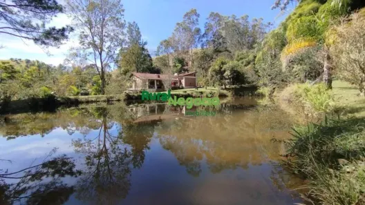 Fazenda/Sítio com 6 Quartos à venda, 400m² no , Cunha