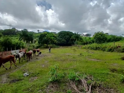 Lote/Terreno à venda, 1440m² no Centro, Conde