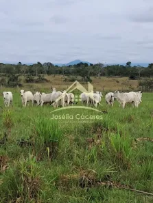 Fazenda/Sítio com 2 Quartos à venda, 10m² no Centro-Norte, Cuiabá