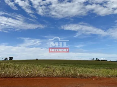 Fazenda/Sítio à venda, 155m² no , Avelinópolis