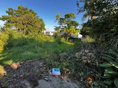 Lote/Terreno à venda, 505m² no Rondônia, Novo Hamburgo