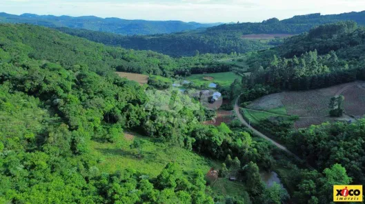 Fazenda/Sítio com 1 Quarto à venda, 5000m² no , Nova Petrópolis