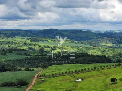 Fazenda/Sítio com 1 Quarto à venda, 411000m² no Gleba Rio Bom, Novo Itacolomi