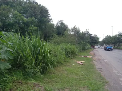 Lote/Terreno à venda, 5782m² no Bangu, Rio de Janeiro