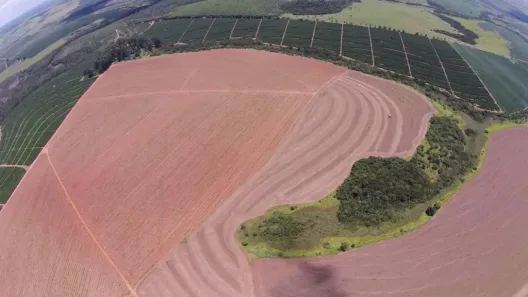 Fazenda/Sítio à venda, 50500000m² no Centro, Uberlândia