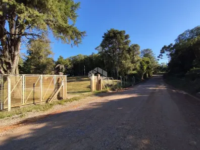 Fazenda/Sítio com 3 Quartos à venda, 67000m² no São Virgílio, Caxias do Sul