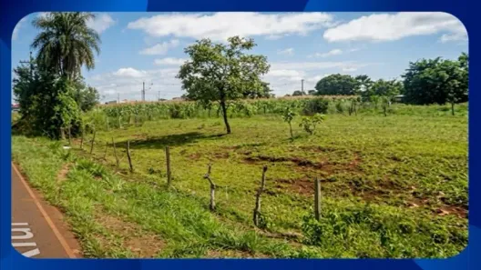 Fazenda/Sítio com 1 Quarto à venda, 55m² no Vila Reis, Jardinópolis
