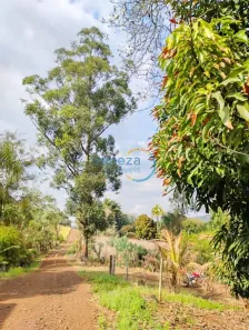 Fazenda/Sítio à venda, 412000m² no São Luiz, Londrina