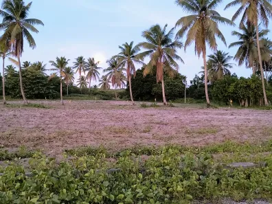 Lote/Terreno à venda, 450m² no Porto de Galinhas, Ipojuca
