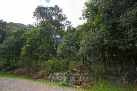 Lote/Terreno à venda, 360m² no Serrano, Caxias do Sul