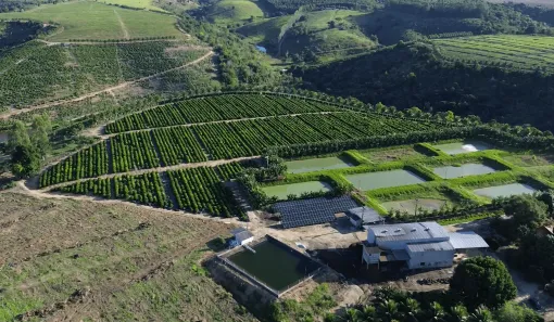 Casa com 8 Quartos à venda, 999999m² no , Porto Seguro