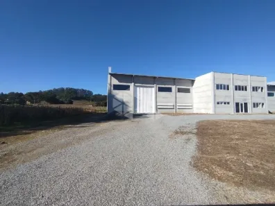 Galpão/Depósito/Armazém para alugar, 1400m² no Flores da Cunha, Flores da Cunha
