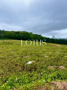 Lote/Terreno à venda, 500m² no Centro (Caucaia do Alto), Cotia