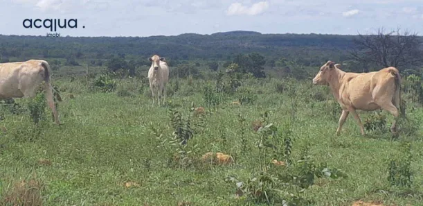 Fazenda/Sítio à venda, 17520000m² no 256, Tesouro