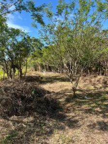 Lote/Terreno à venda, 11600m² no SAMBAQUI, Imbituba