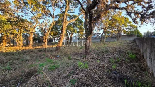 Lote/Terreno à venda, 3616m² no Jardim Dona Carmela, Atibaia