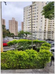Apartamento com 2 Quartos à venda, 55m² no Cangaíba, São Paulo