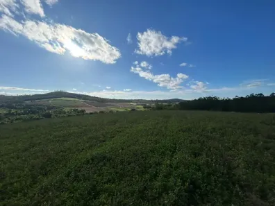Lote/Terreno à venda, 500m² no Nhambuca ( Caucaia do Alto), Cotia