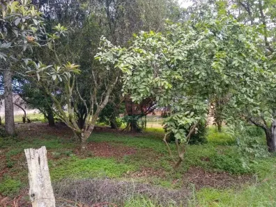 Lote/Terreno à venda, 24200m² no São Gonçalo, Taubaté