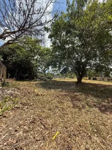 Lote/Terreno à venda, 5159m² no São João e São Paulo, Camaragibe
