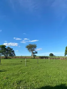 Fazenda/Sítio com 1 Quarto à venda, 242000m² no , Brasilândia
