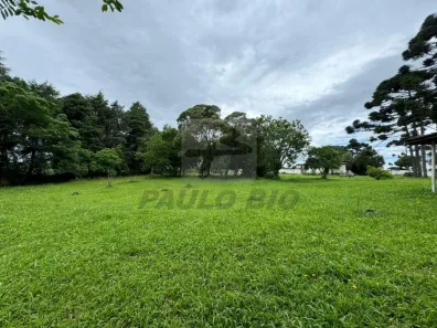 Lote/Terreno à venda, 1m² no Campo Largo da Roseira, São José dos Pinhais