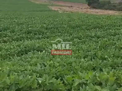 Fazenda/Sítio à venda, 500m² no , Doverlândia