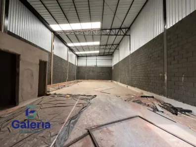 Galpão/Depósito/Armazém para alugar, 280m² no Residencial e Comercial Palmares, Ribeirão Preto