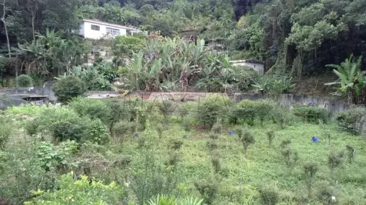 Lote/Terreno à venda, 2500m² no Horto Florestal, São Paulo