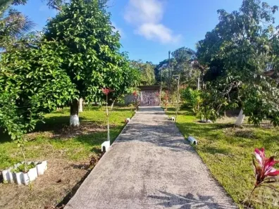 Fazenda/Sítio com 3 Quartos à venda, 80m² no Gaivota (Interior), Itanhaém