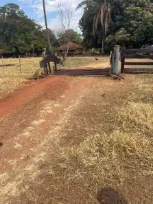 Fazenda/Sítio à venda, 6146800m² no , Inocência
