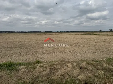 Fazenda/Sítio à venda, 1000m² no , Tremembé