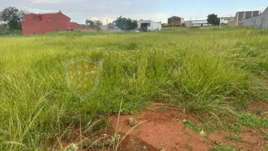 Lote/Terreno à venda, 340m² no Vila Elisa, Ribeirão Preto