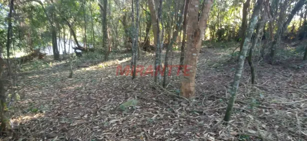 Lote/Terreno à venda, 611m² no Jardim Peri, São Paulo