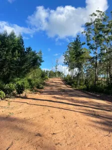 Lote/Terreno à venda, 1000m² no Centro, São Roque