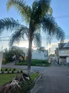 Lote/Terreno à venda, 366m² no Santa Felicidade, Curitiba
