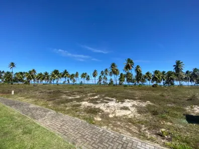 Lote/Terreno à venda, 600m² no Praia do Forte, Mata de São João