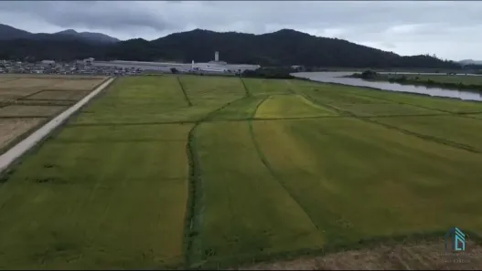 Lote/Terreno à venda, 201000m² no Pedra de Amolar, Ilhota