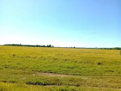 Fazenda/Sítio à venda, 968000m² no , Querência do Norte