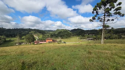Fazenda/Sítio com 3 Quartos à venda, 40m² no Laranjeiras, Campo Alegre
