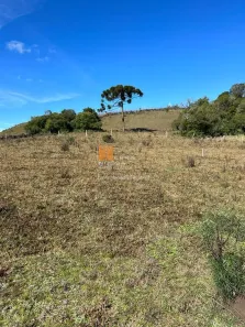 Fazenda/Sítio com 1 Quarto à venda, 20000m² no Vila Seca, Caxias do Sul