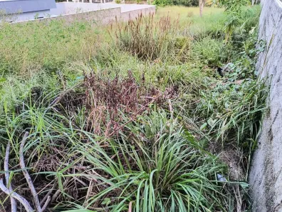 Lote/Terreno à venda, 900m² no Porto de Galinhas, Ipojuca